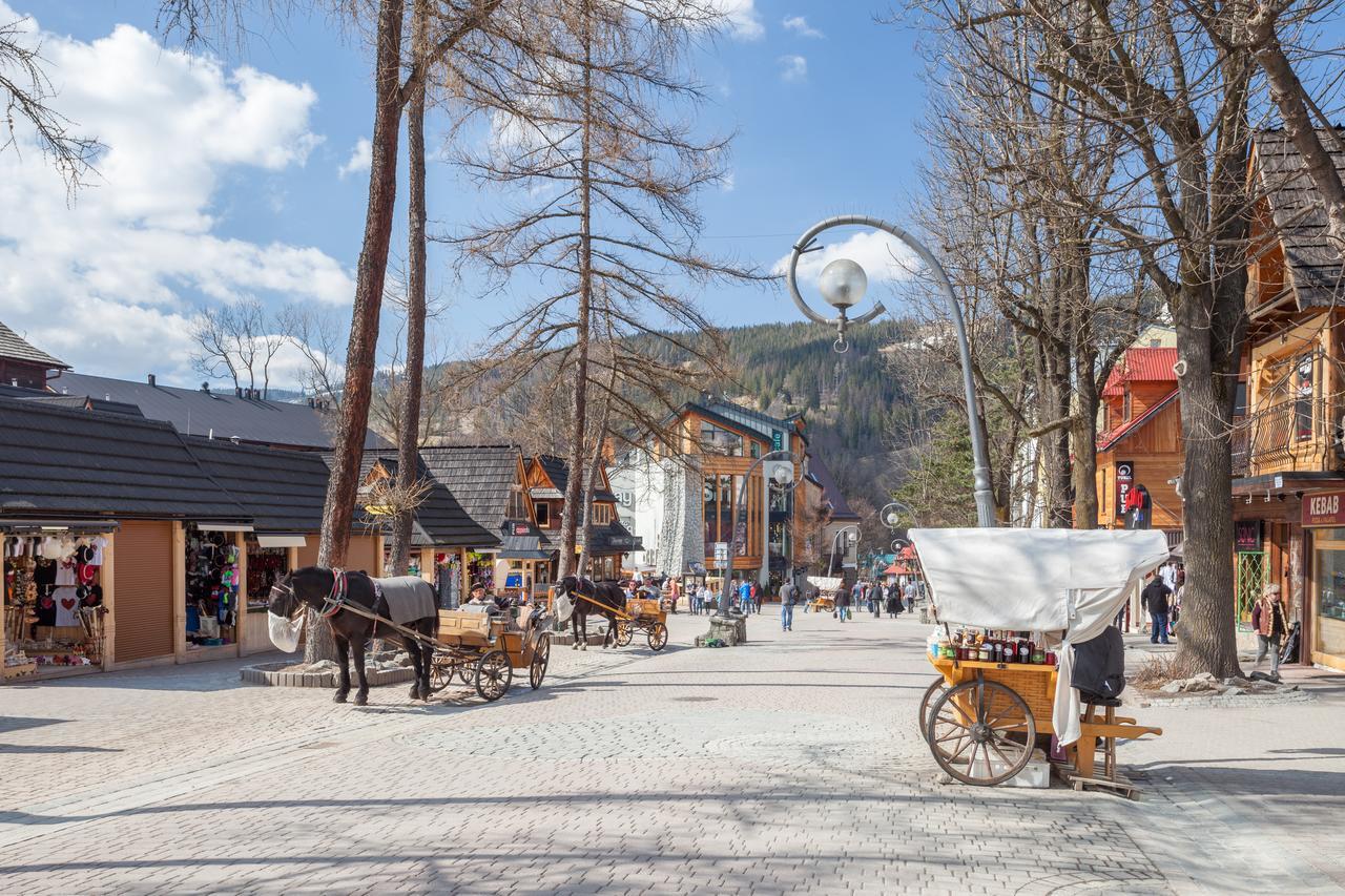 Rent Like Home - Tetmajera Zakopane Luaran gambar